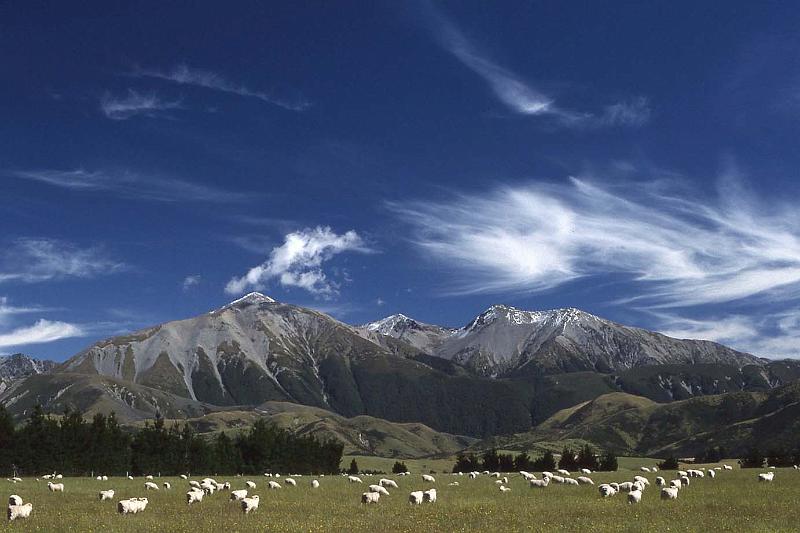 WT 0200 037-34 New Zealand.jpg